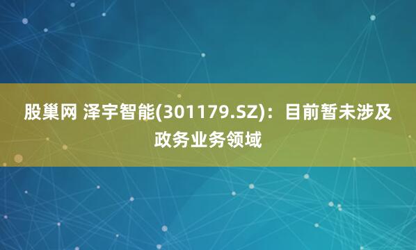 股巢网 泽宇智能(301179.SZ)：目前暂未涉及政务业务领域