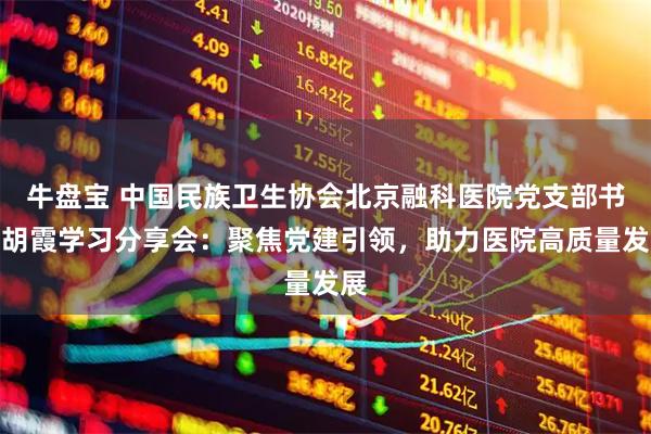 牛盘宝 中国民族卫生协会北京融科医院党支部书记胡霞学习分享会：聚焦党建引领，助力医院高质量发展