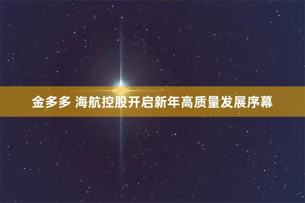 金多多 海航控股开启新年高质量发展序幕